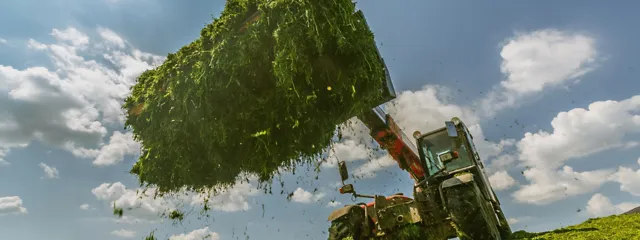 Nurmisäilörehu ja pyörökuormaaja