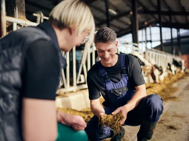 Neuvontaa naudanruokinnasta