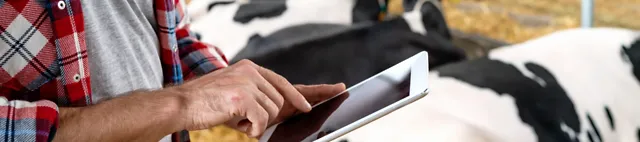 Ajankohtaisia uutisia 