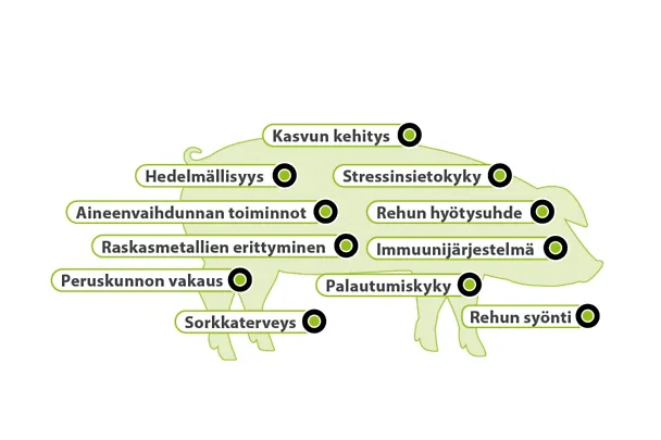 Darstellungen_FI_2511192 - aminotrace