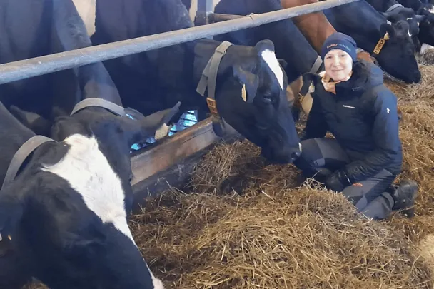 Ritala-Annukka-lehmat-2023 Ritala-Annukka-lehmat-2023