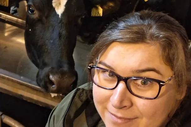 Mari Klemetti lehmän kanssa