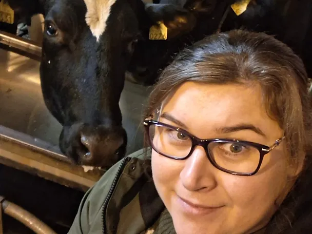 Mari Klemetti lehmän kanssa