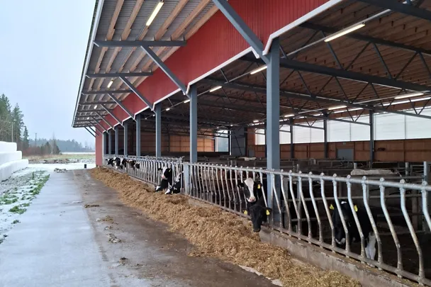 Kuva MaitoKourimon tilalta