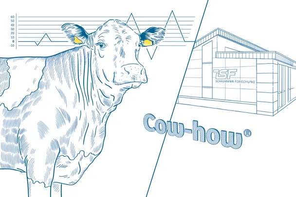 de_hws_illu_Kuh_ISF_Cow-how (1)