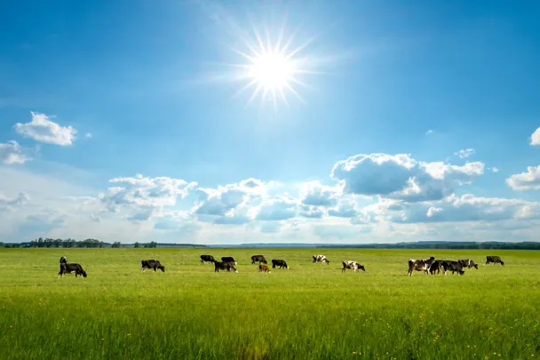 AdobeStock_373312194