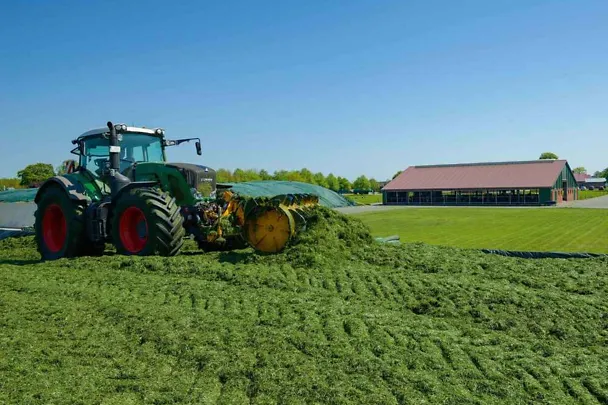 Nurmirehun säilöntä